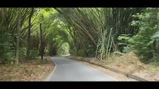 SCENIC DRIVE  OF NORTH COAST  MARIANNE RIVER AND BEACH BLANCHISSEUSE