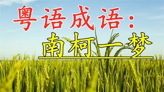 粤语成语古仔：南柯一梦。#粤语 #古仔 #粤语经典 #孩子 #成语故事 #成语 #粤语屋#广东话 #香港#中文