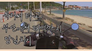 벤리타고 부산에서 태백😝 | 당일치기 | 110cc | 스쿠터 | 솔바리 | 장거리 성공