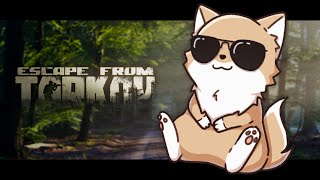 【Escape from Tarkov】まだそんな装備でレイドにいってるんですか？【柴犬Vtuber】