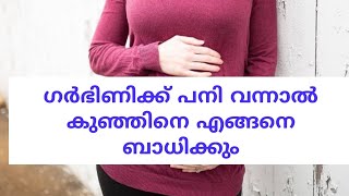 Pregnancy fever in malayalam !! വൈകല്യങ്ങൾ ഇല്ലാതെ കുഞ്ഞു ജനിക്കാൻ ഗർഭിണികൾ ശ്രദ്ധിക്കേണ്ടത്