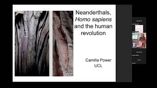 Neanderthals, Homo sapiens and the ‘Human Revolution’ by Camilla Power 21/01/2025