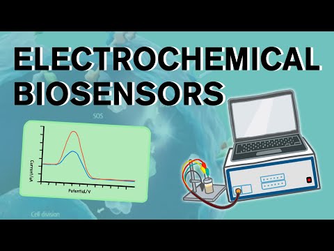 What are Immunosensors explain?