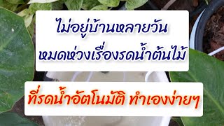 ที่รดน้ำอัตโนมัติ ทำเองง่ายๆ จากวัสดุที่บ้าน #ต้นไม้ #ต้นไม้มงคล #รดน้ำต้นไม้ @jit-tree-garden