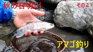 秋の石切川アマゴ釣りその１