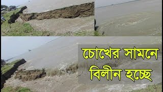 ৪ দিনে পদ্মার পেটে ৮ হাজার বাড়ি। চোখের সামনেই পদ্মায় বিলীন হয়ে গেল শত শত ঘরবাড়ী