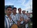 Sounds of Summer meets the Beach Boys