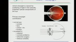 The Straylight basis of Disability Glare. Assessment and Origins - Lecture by Dr. Van Den Berg