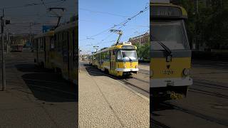 PILSEN | City tram 🚊 at Sady Pětatřicátníků - 4K #trams