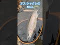 フライフィッシング flyfishing 釣り 釣り女子