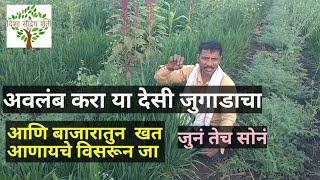 या देसी जुगाडाचा अवलंब करा सेंद्रिय शेती ही आजची गरज  organic farming enter crop and his benefit