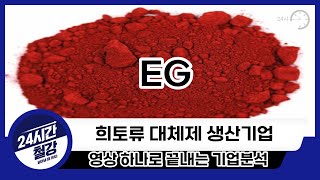 [EG 기업분석] 투자전 필독!