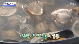 조개로 할 수 있는 엄청난 요리들 [광화문의 아침] 439회 20170313