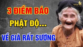 3 Điềm Báo PHẬT Độ Về Già Rất Sướng - Vạn Điều Ý Nghĩa