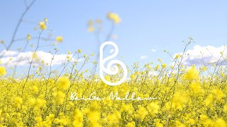 A Trip to Jeju Island, Full of Canola Flowers! Bright New Age Music to Help Refresh Your Mind