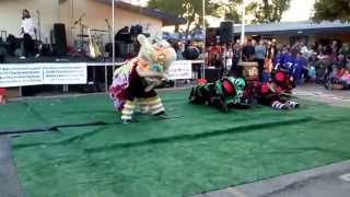 Lion Dancing for OLPH Fiesta 2014