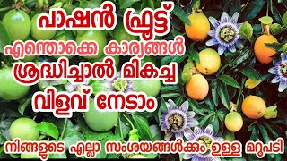 പാഷൻഫ്രൂട്ട് അറിയേണ്ടതെല്ലാം| സംശയങ്ങളും ഉത്തരവും|how to grow passion fruit malayalam vlog|krishi