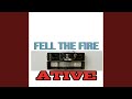 Fell The Fire