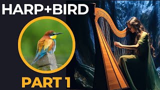 👼1 Hour Harp Music with Bird Singing (Part 1)(Instrumental Background for Relaxing, Sleep, Healing)