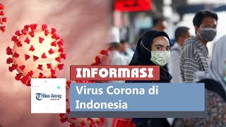 Informasi Virus Corona Di Indonesia Lewat Kawalcovid19 Id