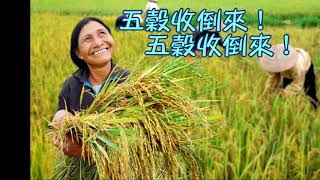 【透早撒好種 Sowing In The Morning】 台語歌詞字幕 MV (Taiwanese Lyrics MV) 夢想之音聖詩敬拜影音系列