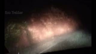 Night😱மழையில் ஊட்டி மலைப்பாதையில் திகில் பயணம்|ooty Dengerous Hills night Driving Heavy Rain😱🐗