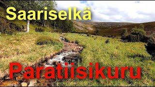 Lapin tuntureilla on Paratiisikuru: Saariselkä Urho Kekkosen Kansallispuisto