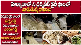 Full information about Murrah Buffalo Feed || Full Diet Plan of Animals Feed Explained by Dharamvir