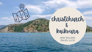 Christchurch and Kaikoura | New Zealand Travel Vlog December 2019