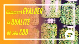 Tip Of The Day #1 - Comment évaluer la qualité et la fraicheur de son CBD ?[Part 2]