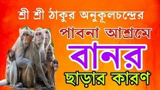 পাবনা আশ্রমে বানর ছাড়ার কারণ | শ্রী শ্রী ঠাকুর অনুকূলচন্দ্র