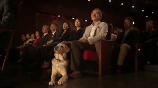 ACジャパン　日本盲導犬協会2014年度cm パートナーのいる幸せ#ねこ#盲導犬