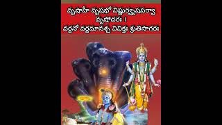 విష్ణు సహస్రనామ స్తోత్రం||Episode-15|| #vishnusahasranamastotram#vishnusahasranamam#vishnu