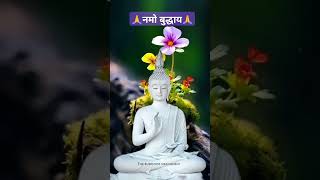 Lord Buddha #viralshort #video