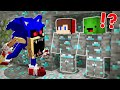 How Mikey and JJ Became DIAMOND ORE and HIDE From the SCARY Sonic EXE ? - Minecraft (Maizen)