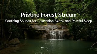 Pristine Forest Stream Soothing Sounds for Relaxation, Work, and Restful Sleep | Melodies for Sleep