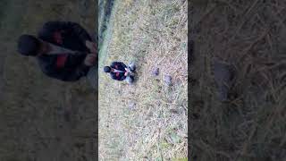 Các bác dam me bay chim da ben dược dan nao chua dan dan vu e ben duoc