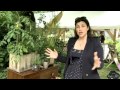 kirstie allsopp on upcycling things in your house in the garden