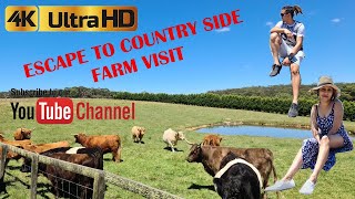 ESCAPE TO THE COUNTRY SIDE | Visit Red leaf Farm animal farm in [4K] ULTRA HD