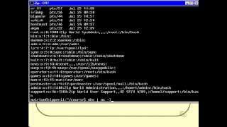 Unix Shell Scripting tutorial for beginners Basic Script Part 4