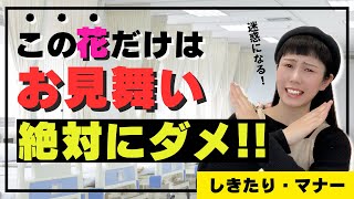 お見舞いギフト・このお花はやめて！ギフトフラワーマナー徹底解説