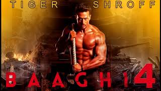 Baaghi 4 BGM | Tiger Shroff |Shraddha|Riteish|Sajid N | Ahmed Khan | Concept Audio