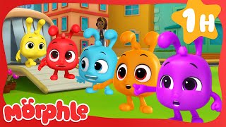 Morphle's Best Multi Color Clones🌈| Cartoons & Videos for Kids | Mila and Morphle