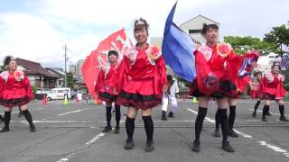 KITA舞人さん　YOSAKOIソーラン日本海彦根三十五万石大会2013