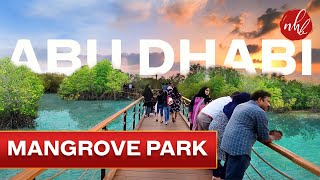 Abu Dhabi Mangrove Park | Jubail Mangrove Park Walk - 4K | അബുദാബിയിലെ ഒരു കണ്ടൽക്കാട് യാത്ര..!