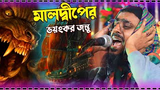 মহেব্বুল্লাহ হুসাইনী ওয়াজ / মালদ্বীপের ভয়ঙ্কর জন্তুর ঘটনা /pirzada mohebullah hussaini new waz 2022