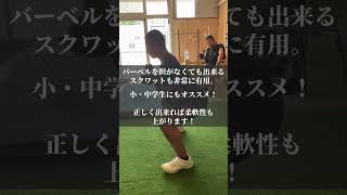 野球選手のストレングストレーニングの基本