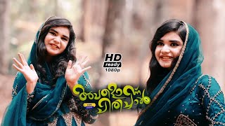 നല്ല ഫീൽ തരുന്ന പ്രണയ ഗാനം Avalonnu chirichal Balluz Thanseer koothuparamba New Mappila Album Song