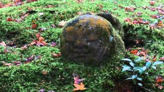 三千院 Sanzen-in Temple, Kyoto