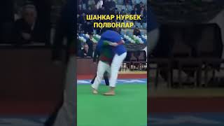 ШАНКАР ПОЛВОН НУРБЕК ПОЛВОН КУРАШИ. #шортс #кураш #бойка